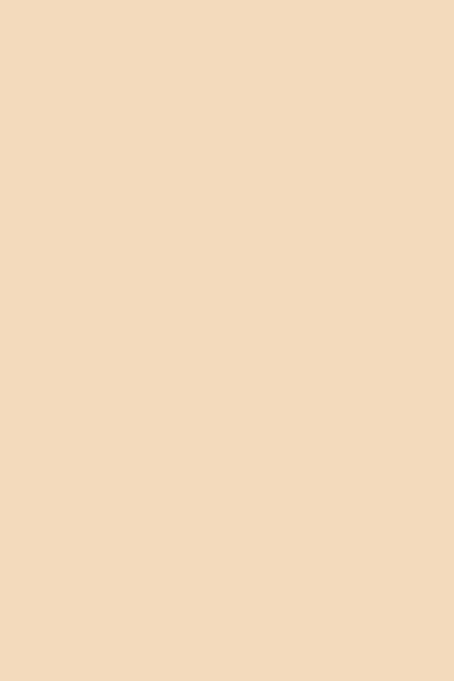 Cameo Solid Color Background - Royalty Free TanColor Image | Pngmagic Free Download Cameo Solid Color Background - High Quality TanColor Background