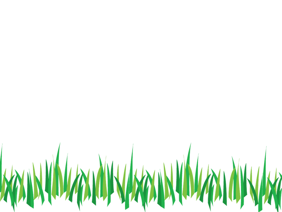 Grass PNG Vector, PSD, Clipart With Transparent - Royalty Free Grass PNG Image Download | Pngmagic 2025 Free Download Grass PNG Vector, PSD, Clipart With Transparent - High Quality Grass PNG PNG Image