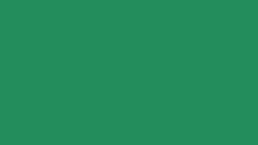 Sea Green Solid Color Background