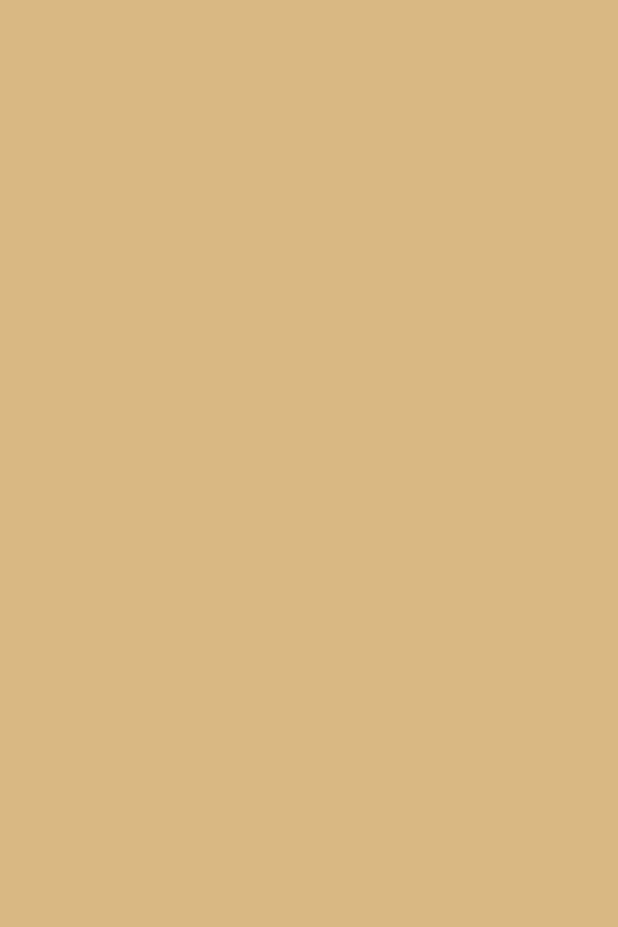 Free Download Wedding Singer Solid Color Background - High Quality TanColor Background