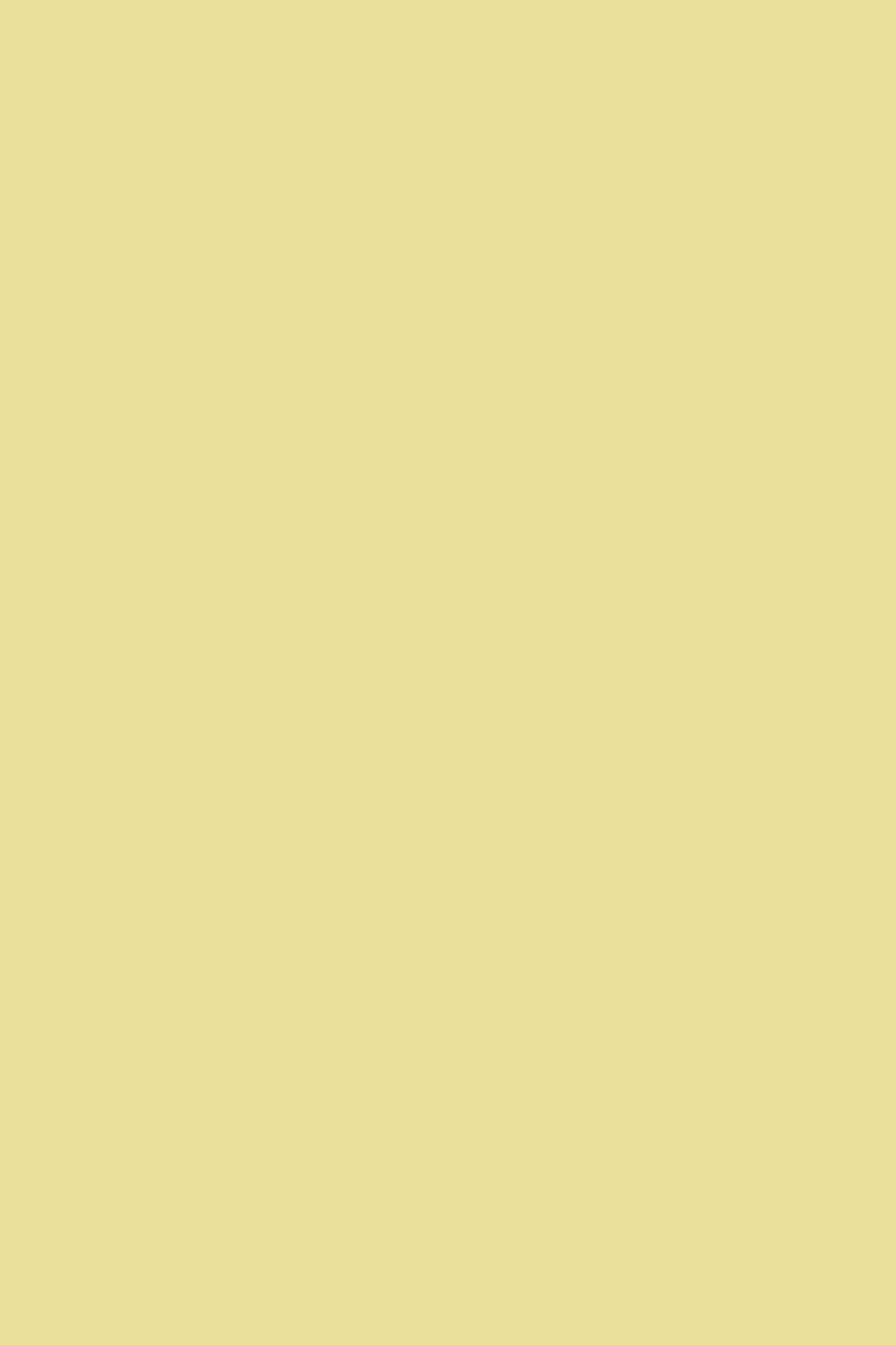 Wild-Rice Solid Color Background - Royalty Free TanColor Image | Pngmagic Free Download Wild-Rice Solid Color Background - High Quality TanColor Background