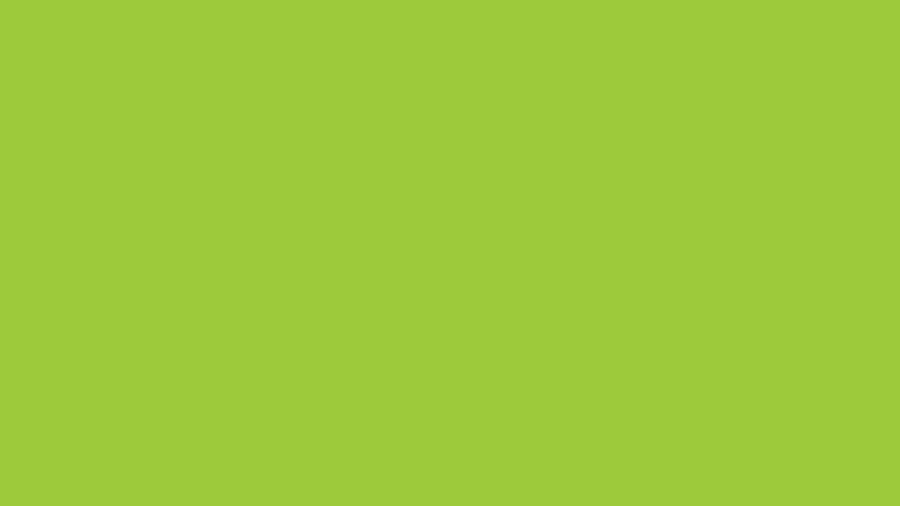Yellow Green Solid Color Background
