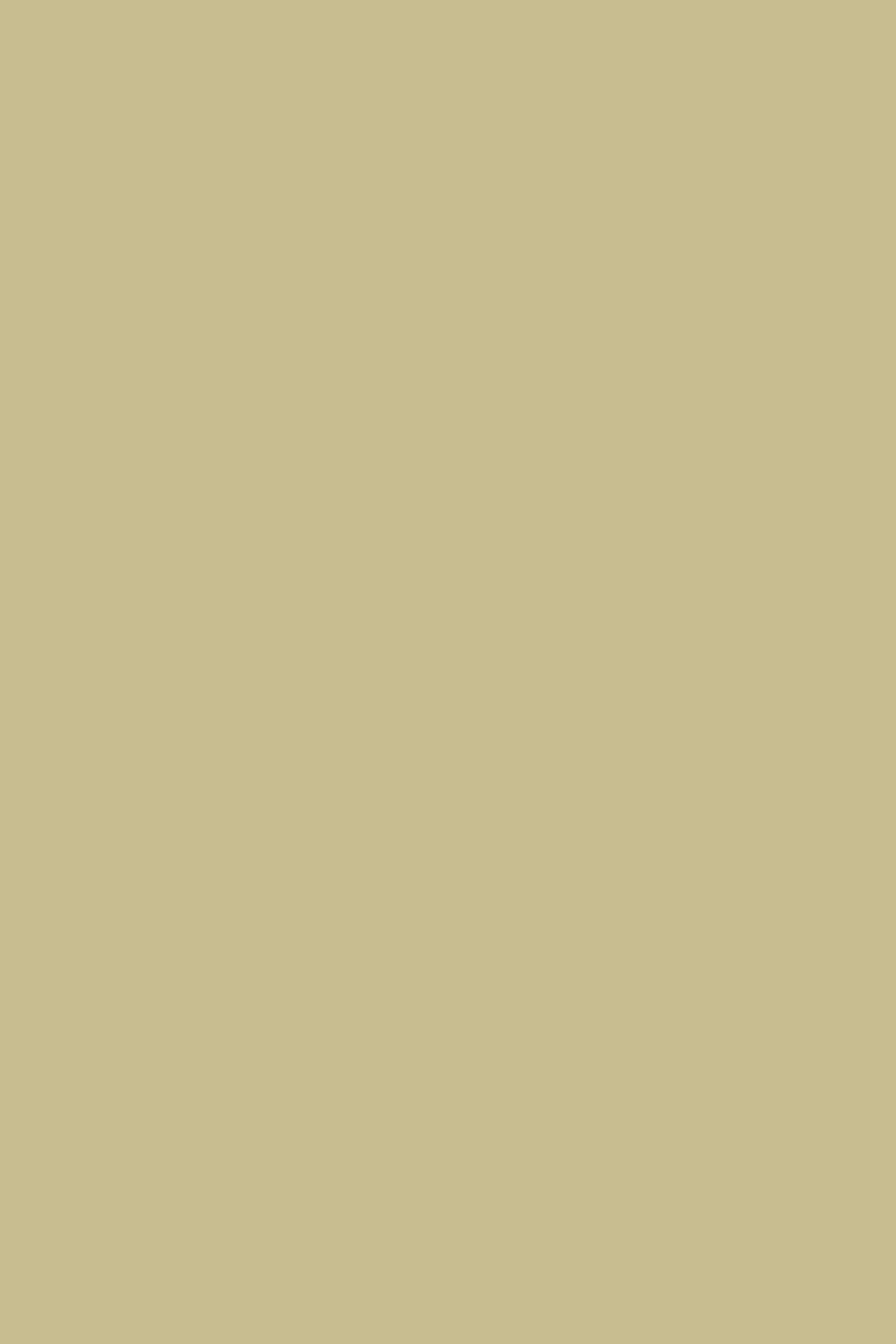 Yuma Solid Color Background - Royalty Free TanColor Image | Pngmagic Free Download Yuma Solid Color Background - High Quality TanColor Background