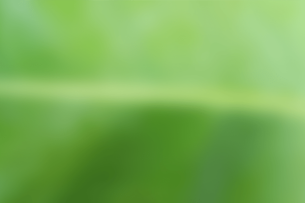 Beautiful Light Green Background