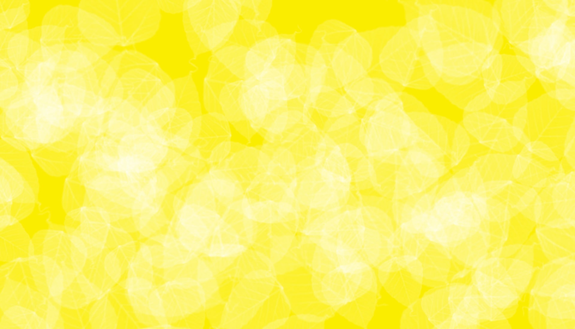 Best Yellow Background Photograph
