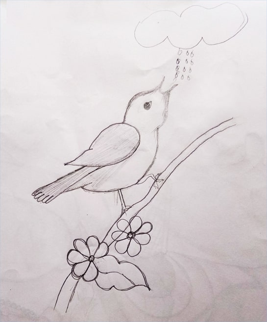  Bird Drawing Picture with Flower