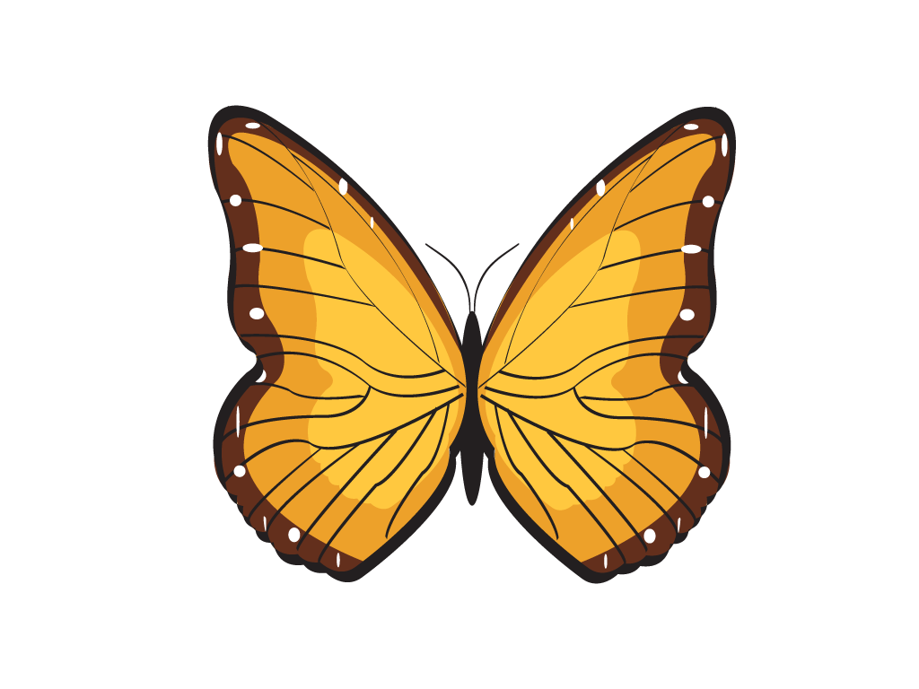 Bitterfly PNG, Vector, PSD, Clipart with Transparent Background Photo for Free Download