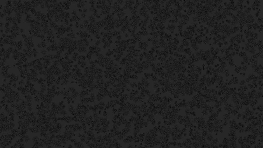 Royalty Free Black Background