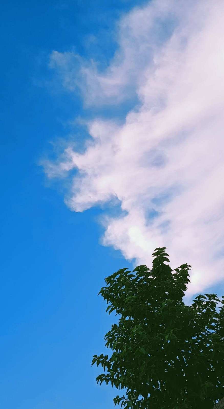 Blue Sky With Clouds Background - Royalty Free Cloud Image Download | Pngmagic 2025 Free Download Blue Sky With Clouds Background - High Quality Cloud Background