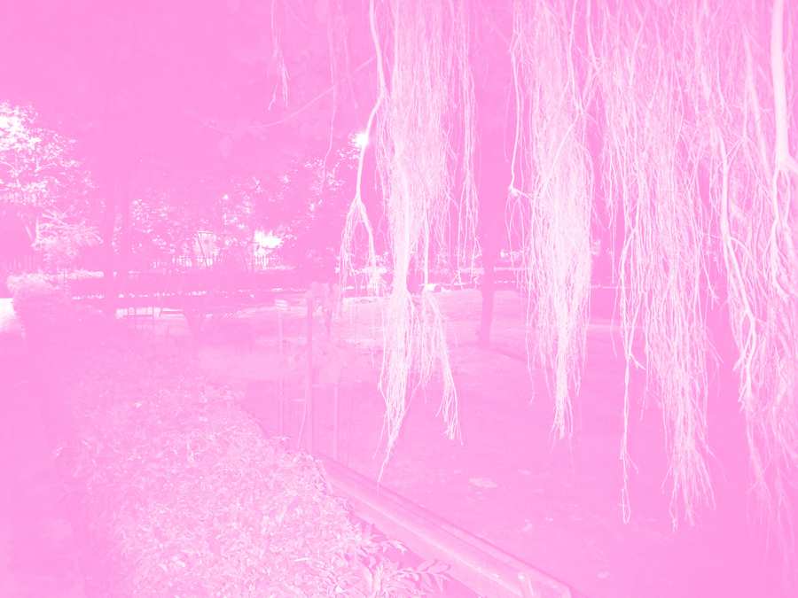Cute Pink Aesthetic Wallpaper - Royalty Free Pink Image | Pngmagic Free Download Cute Pink Aesthetic Wallpaper - High Quality Pink Background