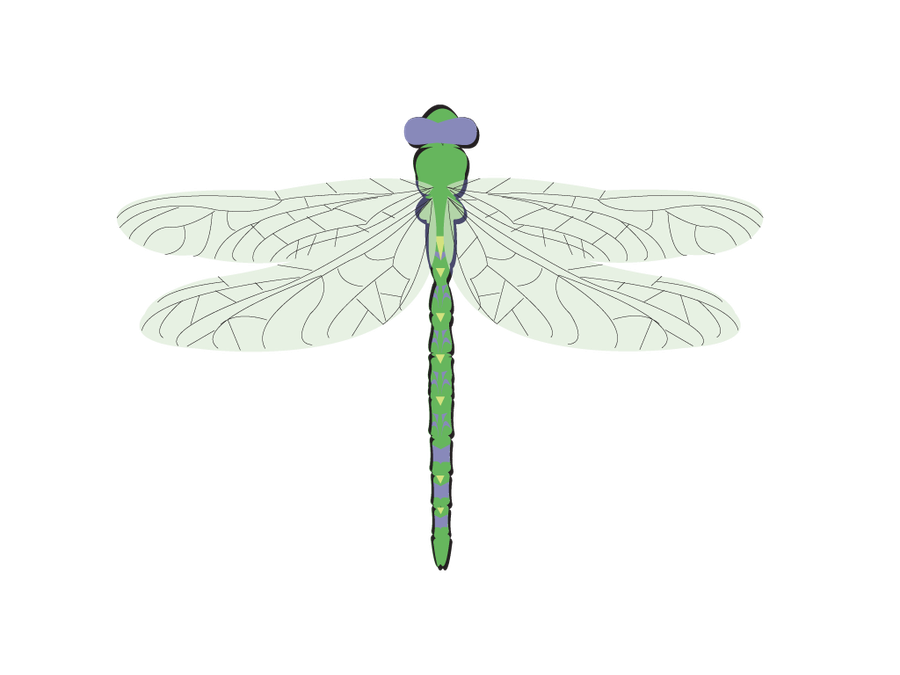 Dragonfly Leaf PNG Vector PSD Clipart With Transparent Background Photo For Free Download - Royalty Free Dragonfly Leaf PNG Vector Image | Pngmagic Free Download Dragonfly Leaf PNG Vector PSD Clipart With Transparent Background Photo For Free Download - High Quality Dragonfly Leaf PNG Vector PNG Image