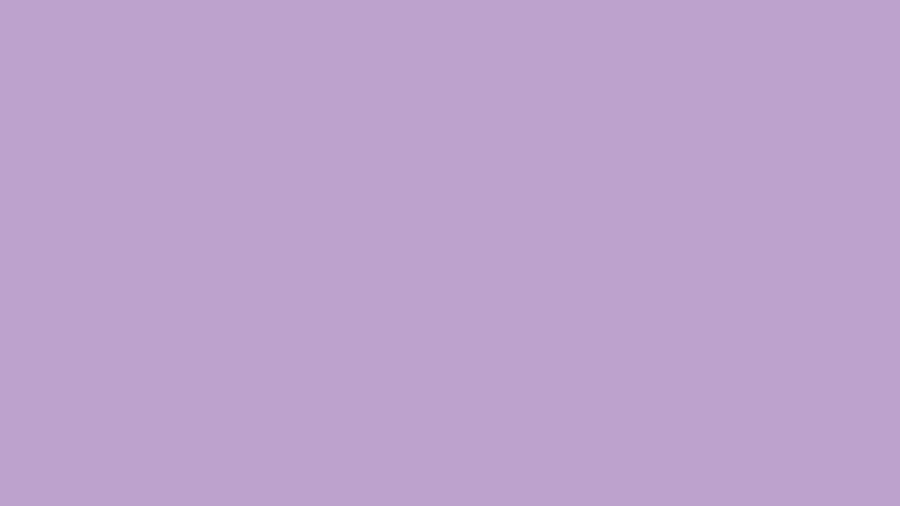 Early Bird Solid Color Background - Royalty Free Purple Image | Pngmagic Free Download Early Bird Solid Color Background - High Quality Purple Background