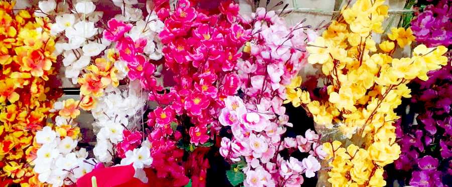Flower Background - Royalty Free Flower Background Image | Pngmagic Free Download Flower Background - High Quality Flower Background Background