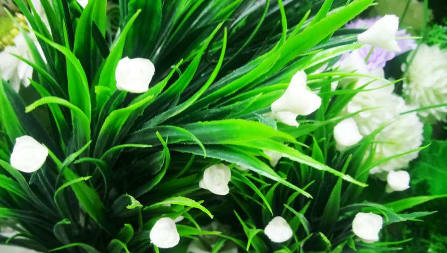 Flower Images Wallpapers - Royalty Free Flower Images Wallpapers Image Download | Pngmagic 2025 Free Download Flower Images Wallpapers - High Quality Flower Images Wallpapers Background