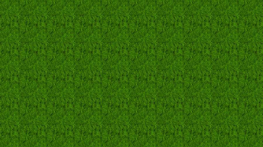 Free Download Free Green Grass Background Images - High Quality Green Grass Background