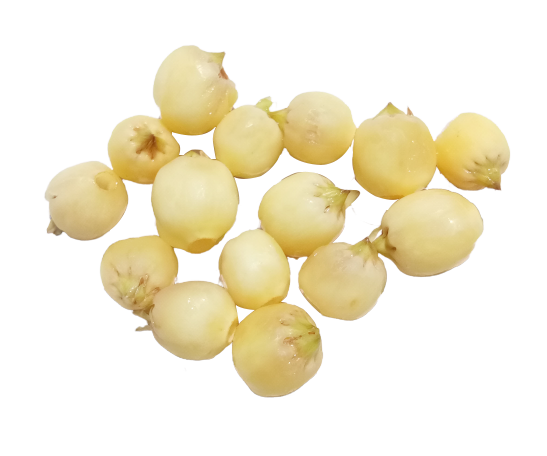 Fresh Mahuaa Fruit Png - Royalty Free Fresh Mahuaa Fruit Png Image | Pngmagic Free Download Fresh Mahuaa Fruit Png - High Quality Fresh Mahuaa Fruit Png PNG Image