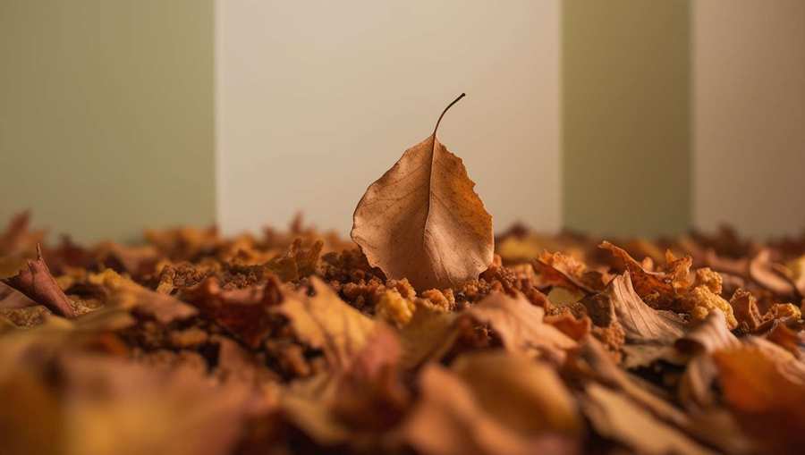 Golden Autumn Leaves Nature Photography - Royalty Free Nature Background Image | Pngmagic Free Download Golden Autumn Leaves Nature Photography - High Quality Nature Background Background