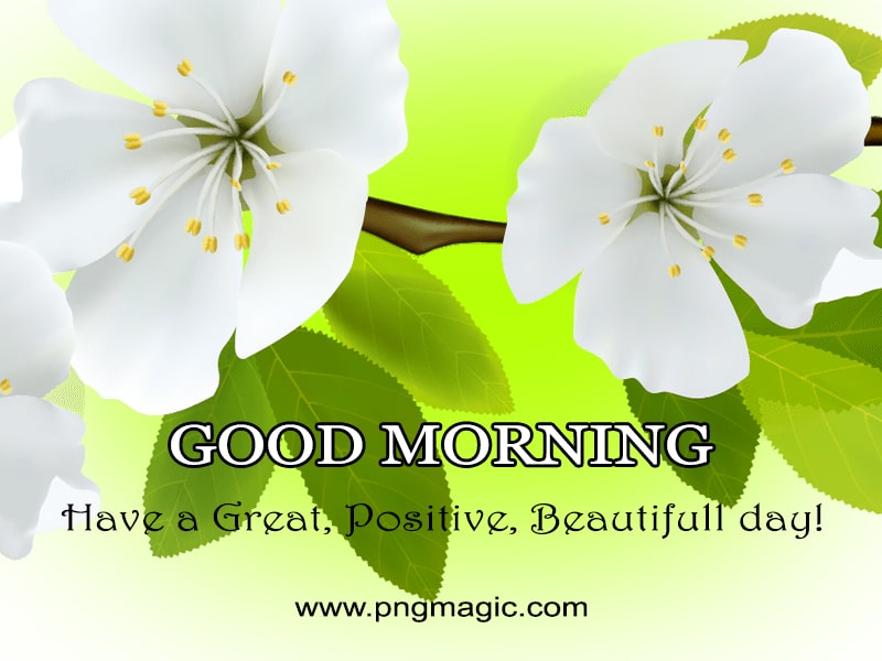 Good Morning Wishes Message Image with Flowers