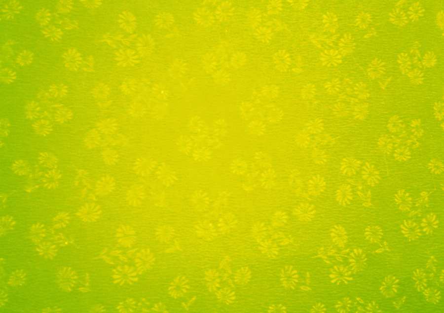 Free Download Green And Yellow Background Images - High Quality Green Yellow Background