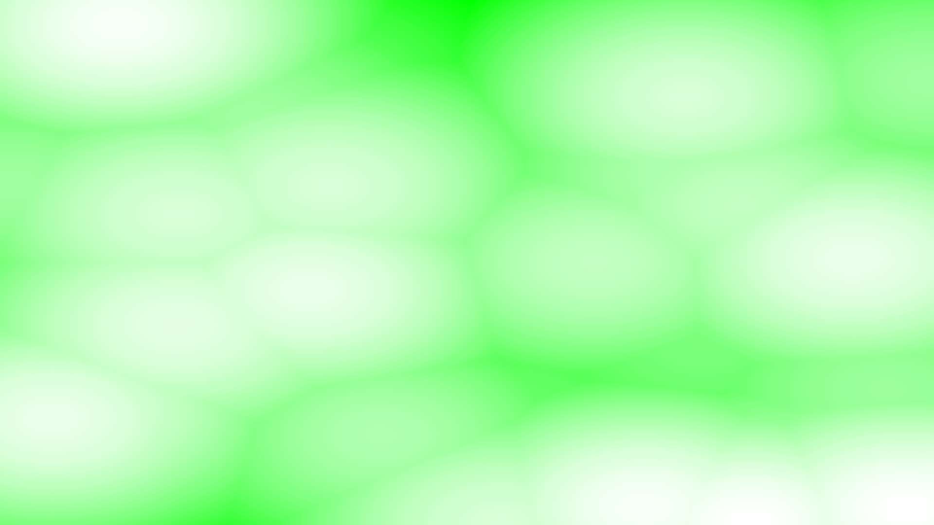 Green Background For Photos Image