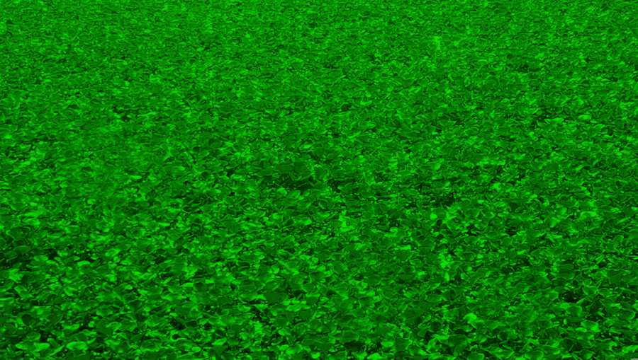 Green Nature Wallpaper - Royalty Free Green Nature Wallpaper Image Download | Pngmagic 2025 Free Download Green Nature Wallpaper - High Quality Green Nature Wallpaper Background