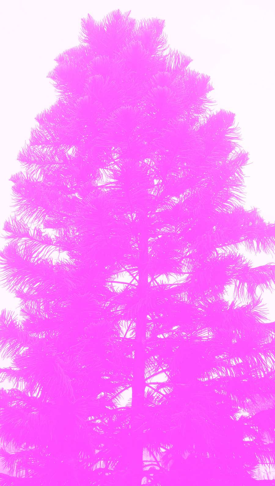 Iphone Pink Wallpaper - Royalty Free Pink Image | Pngmagic Free Download Iphone Pink Wallpaper - High Quality Pink Background