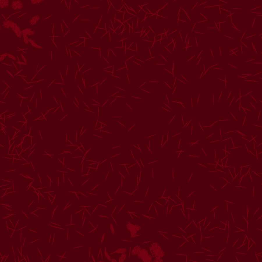 Maroon Color Background 