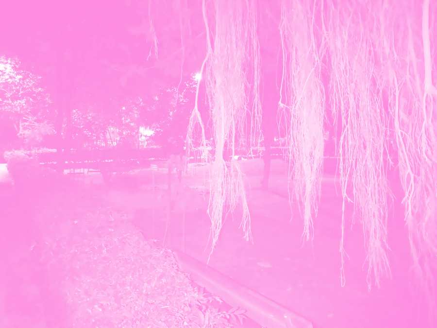 Free Download Pink Desktop Wallpaper - High Quality Pink Background