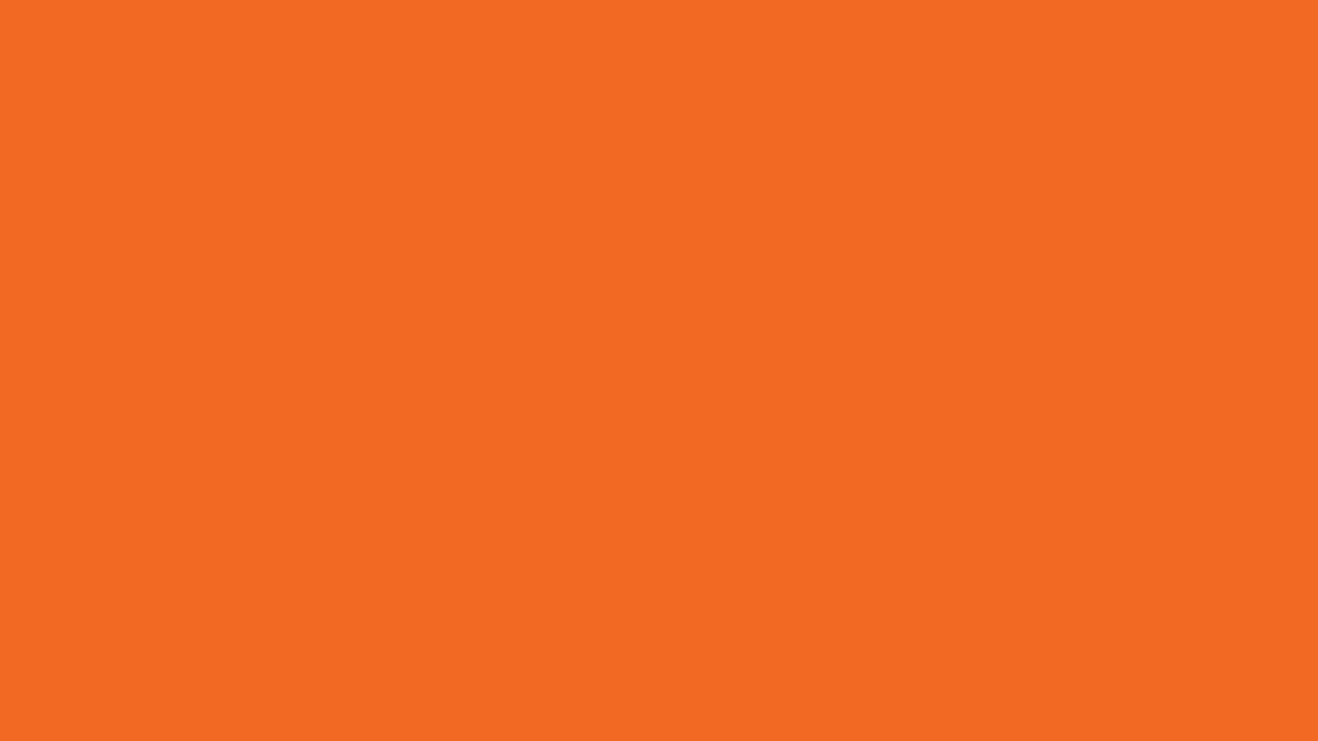 Safety Orange Solid Color Background
