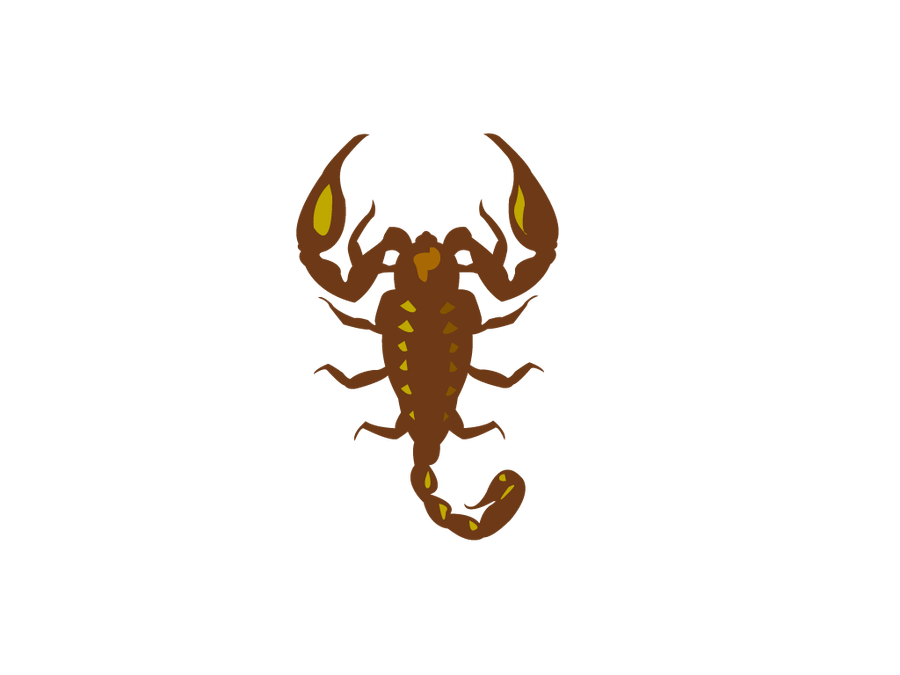 Scorpion PNG Vector PSD Clipart With Transparent Background Photo For Free Download - Royalty Free Scorpion PNG Vector PSD Clipart Image | Pngmagic Free Download Scorpion PNG Vector PSD Clipart With Transparent Background Photo For Free Download - High Quality Scorpion PNG Vector PSD Clipart PNG Image
