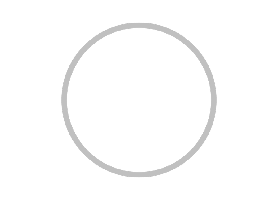 Silver Circle Outline png