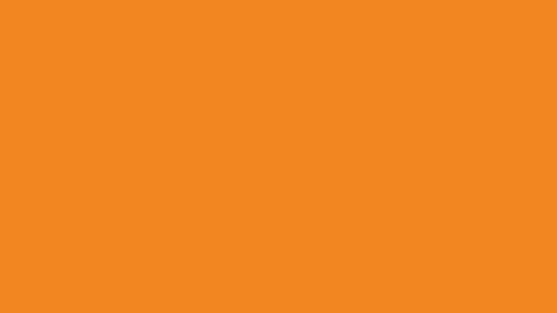 Tangerine Color Solid Color Background