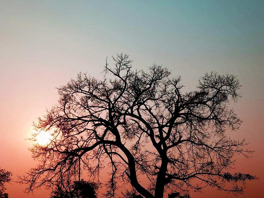 Free Download The Rise Sun Photo Background - High Quality Rise Sun Background