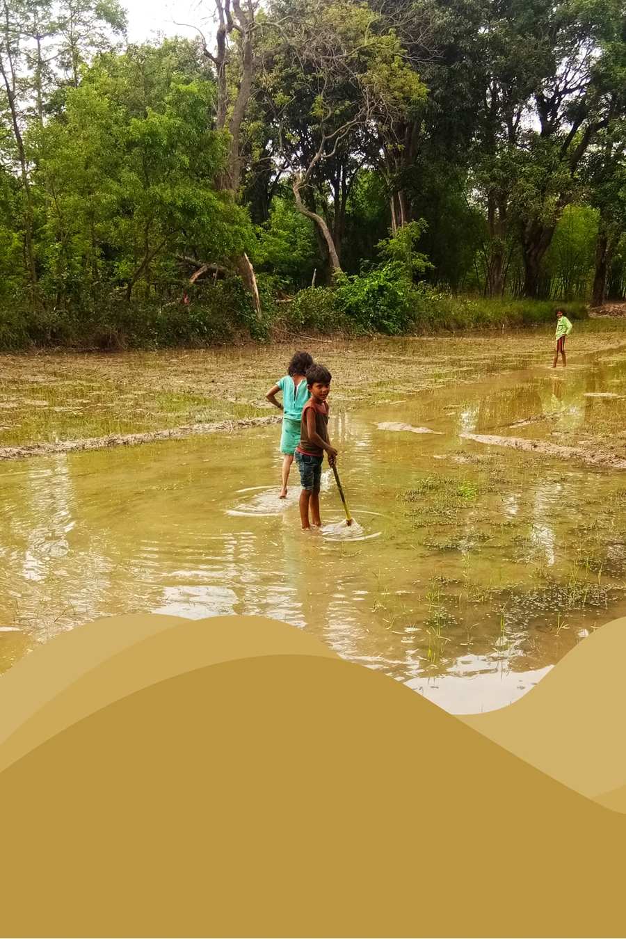 Village Life Agricalture Land and Play Indian Poor Boy in Rain Water Photoshop Editing Picture