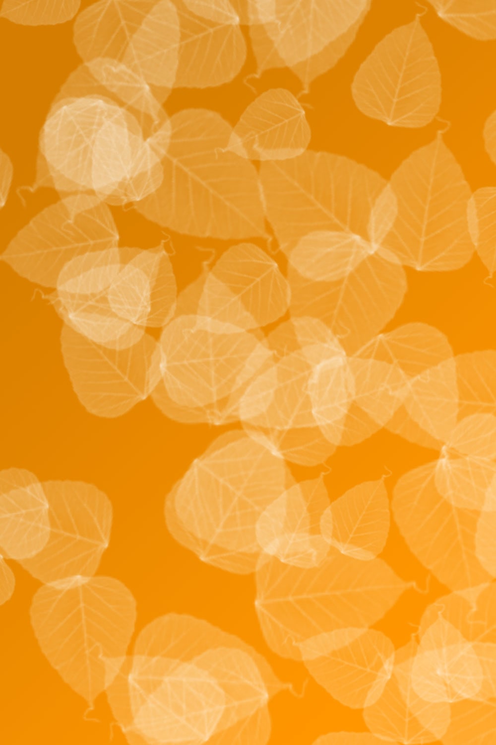 Yellow Orange and Leaf Background
