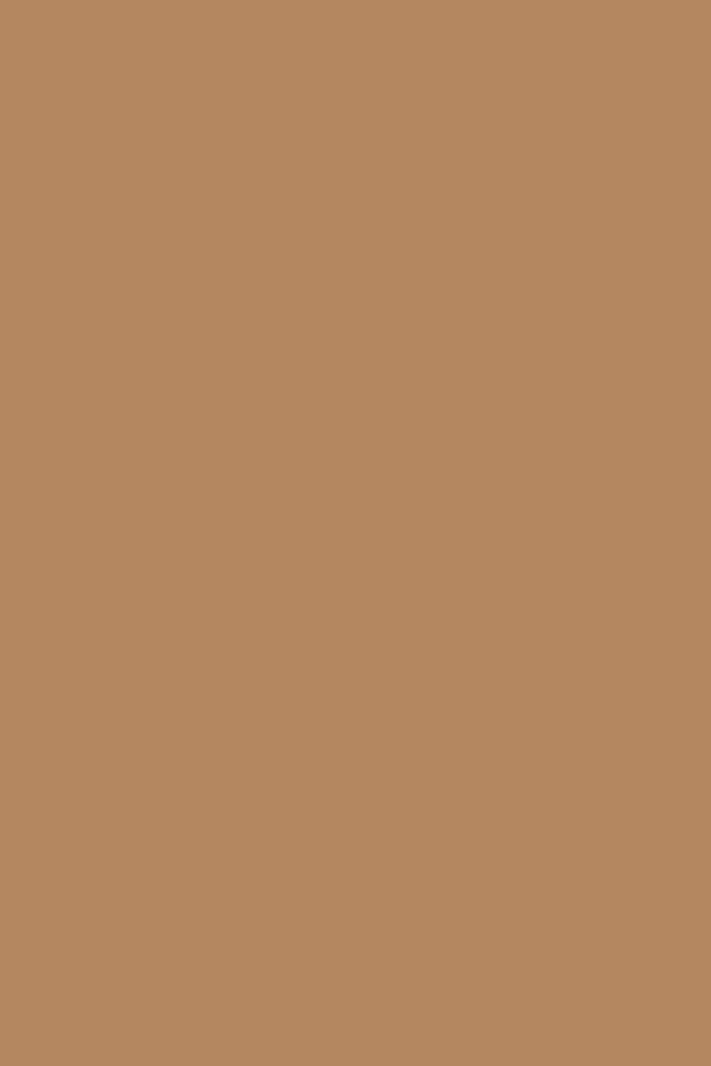 Escape Plan Solid Color Background - Royalty Free TanColor Image | Pngmagic Free Download Escape Plan Solid Color Background - High Quality TanColor Background