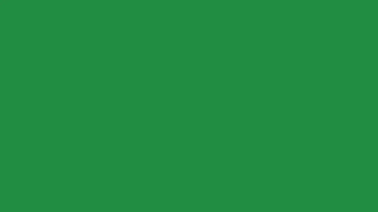 Free Download Forest Green Solid Color Background - High Quality Green Background