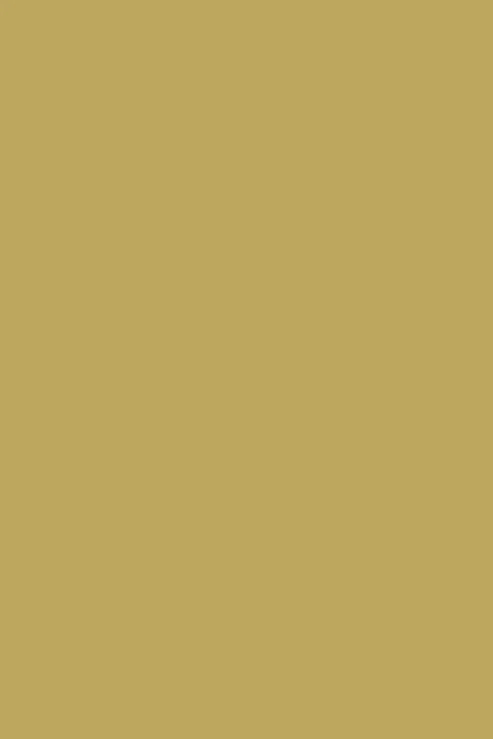 Husk Solid Color Background - Royalty Free TanColor Image | Pngmagic Free Download Husk Solid Color Background - High Quality TanColor Background