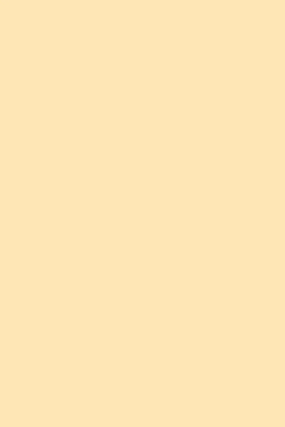 Peach Color Solid Color Background - Royalty Free Pink Image | Pngmagic Free Download Peach Color Solid Color Background - High Quality Pink Background