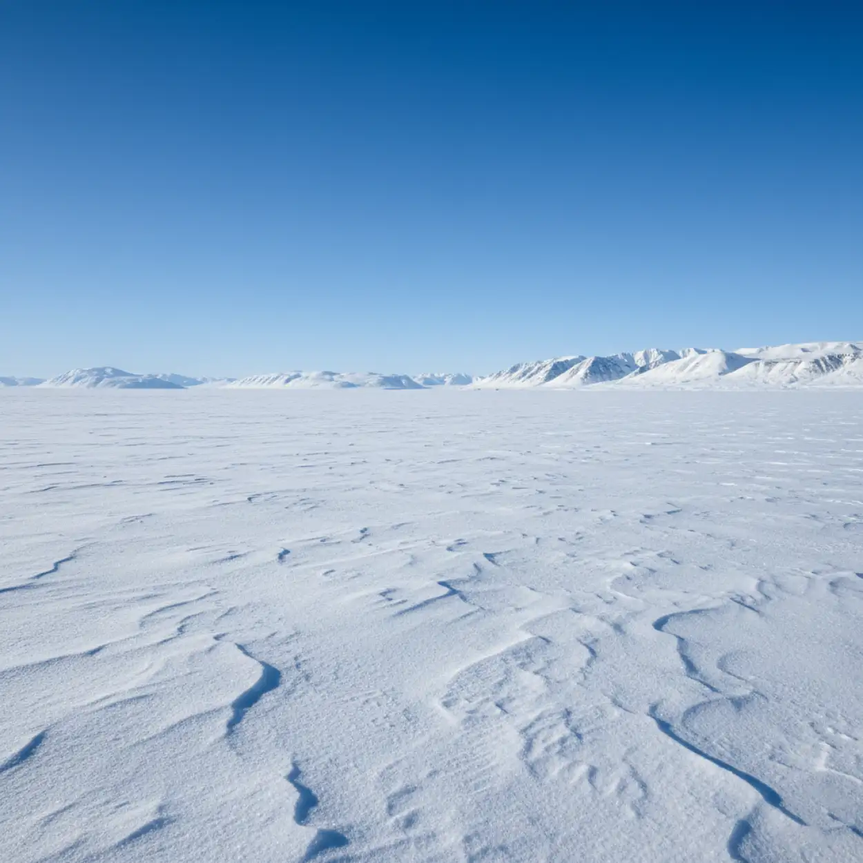 Free Download Abstract Snow Background Images - High Quality Snow Background Images Hd Background Image