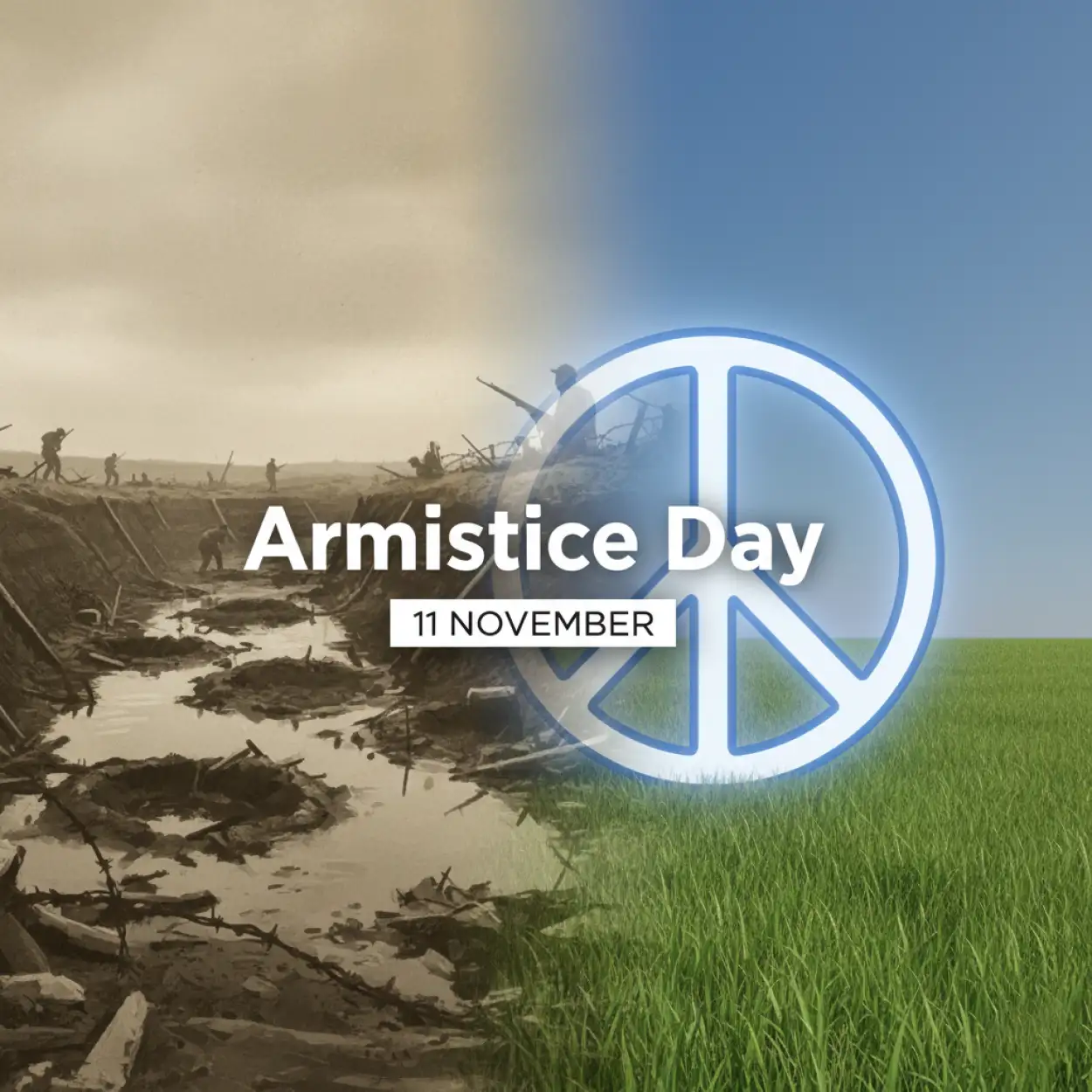 Free Download Armistice Day Peace Background Vector Hd - High Quality Armistice Day Background