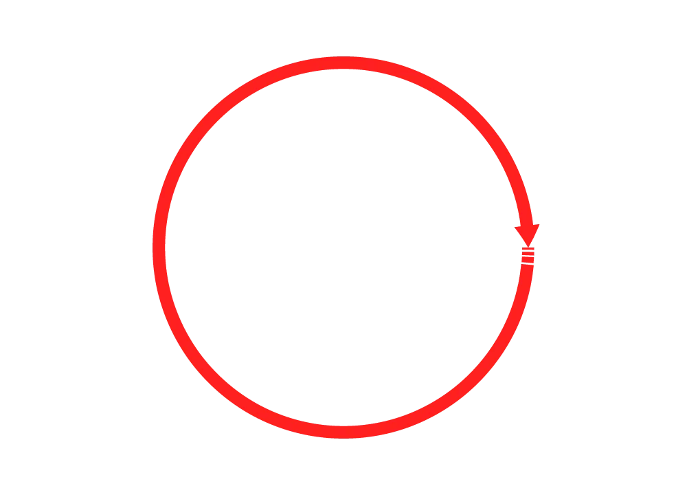 Free Download Arrows Red Circle Png - High Quality Circle PNG Image