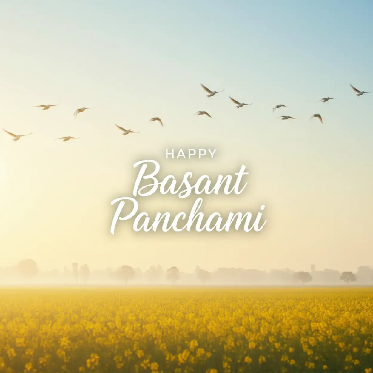 Free Download Basant Panchami Banner Royalty Free - High Quality Basant Panchami Banner Background