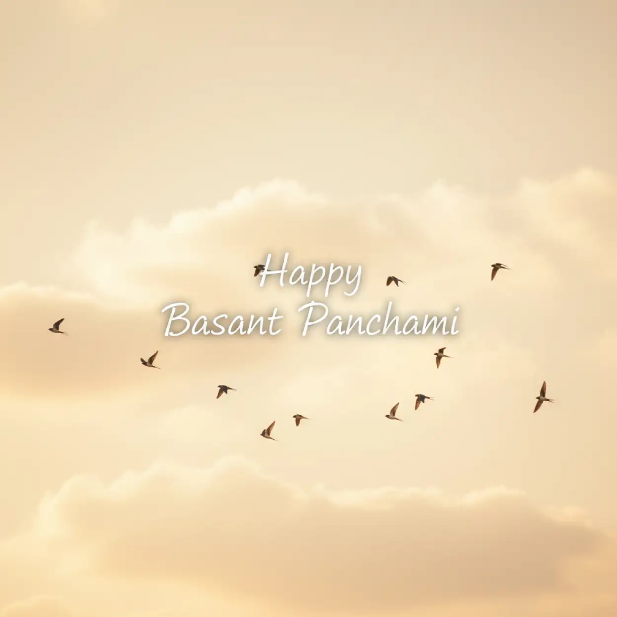 Free Download Basant Panchami Wishes In Hindi Font - High Quality Happy Basant Panchami Wishes Background