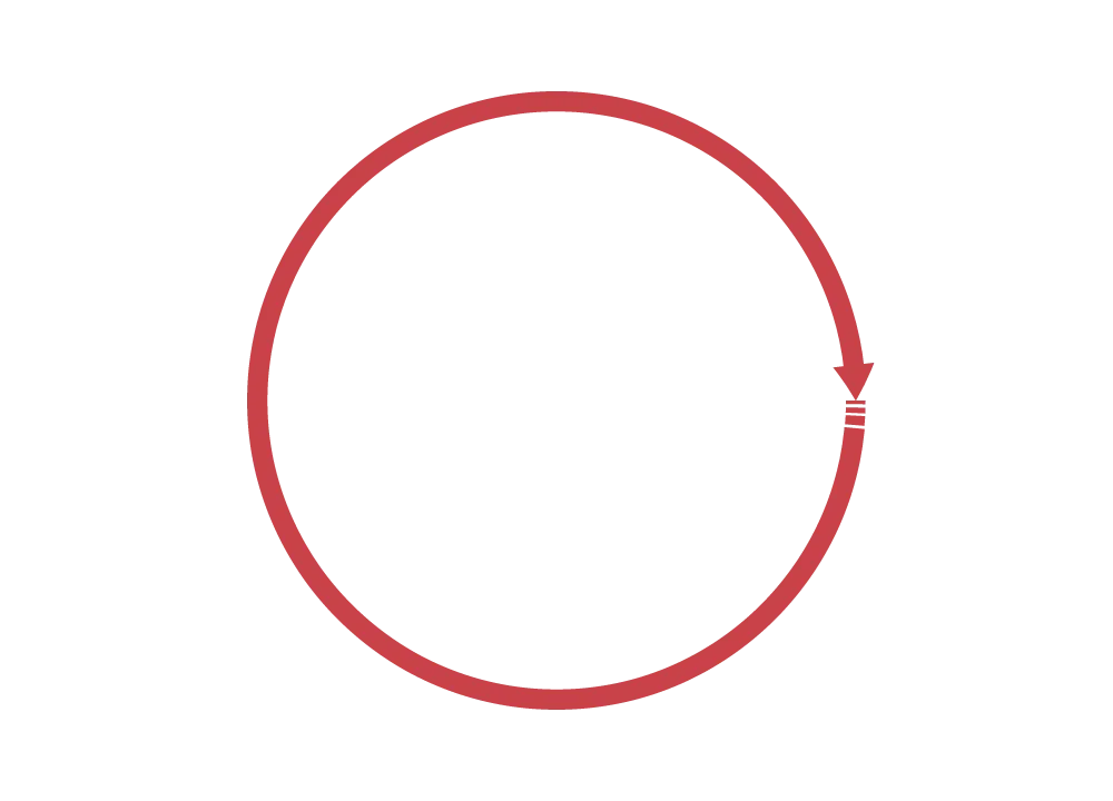 Best Dark Red Arrow Circle Png - Royalty Free Circle Image | Pngmagic Free Download Best Dark Red Arrow Circle Png - High Quality Circle PNG Image