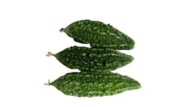 Bitter Gourd Karela Vgetable Png Picture - Royalty Free Bitter Gourd Karela Vgetable Image | Pngmagic Free Download Bitter Gourd Karela Vgetable Png Picture - High Quality Bitter Gourd Karela Vgetable PNG Image