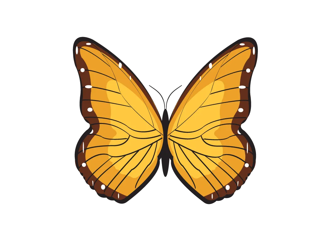Bitterfly PNG, Vector, PSD, Clipart With Transparent Background Photo For Free Download - Royalty Free Bitterfly PNG Vector Image | Pngmagic Free Download Bitterfly PNG, Vector, PSD, Clipart With Transparent Background Photo For Free Download - High Quality Bitterfly PNG Vector PNG Image