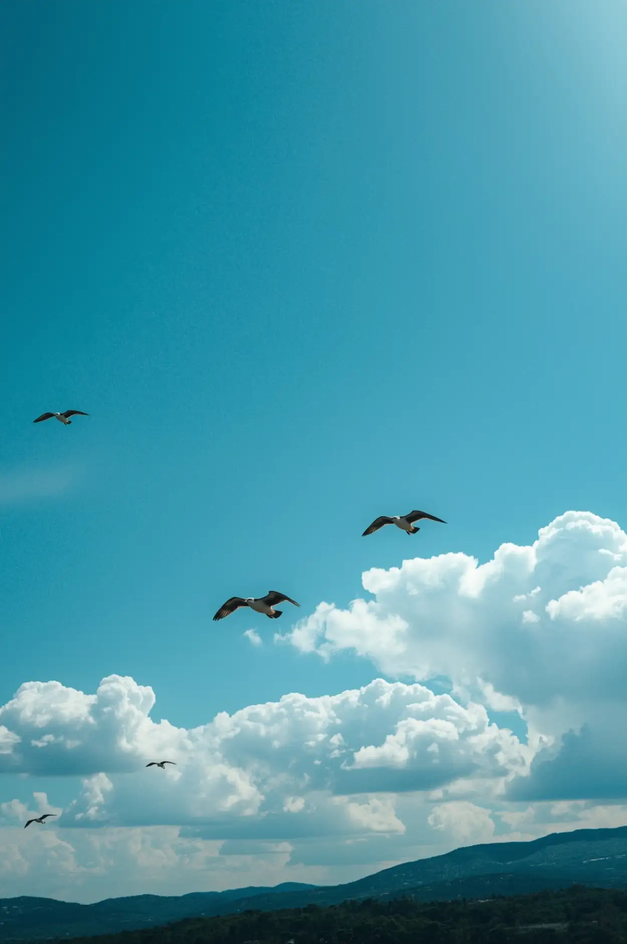 Free Download Blue Picture Sky With Birds Flying - High Quality Blue Picture Background