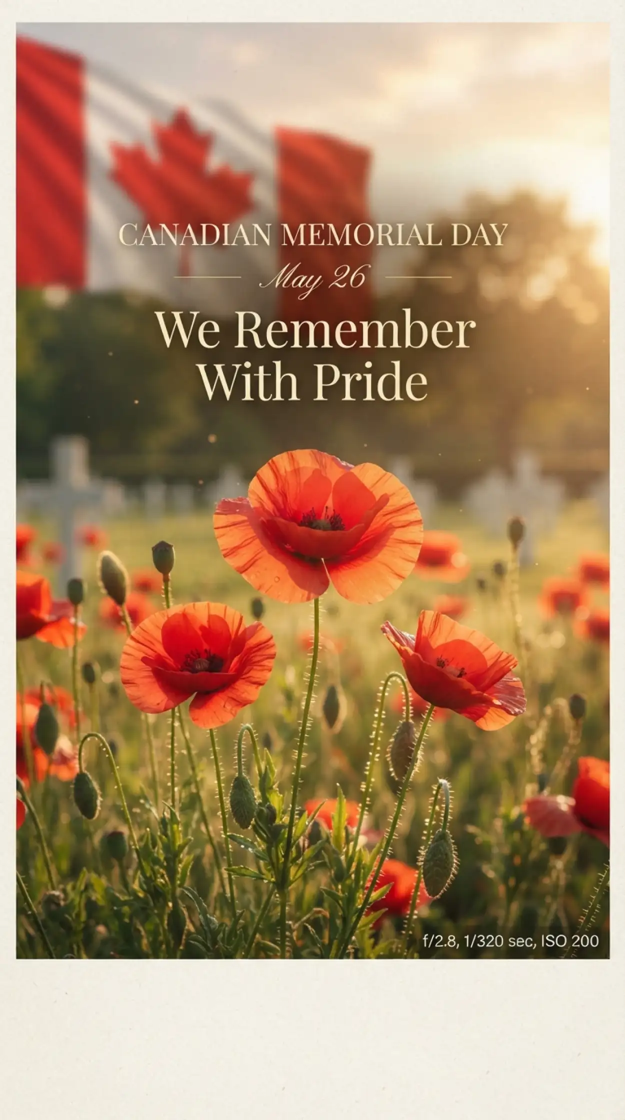 Free Download Canadian Memorial Day Remembrance Poster - High Quality Canadian Memorial Day Image