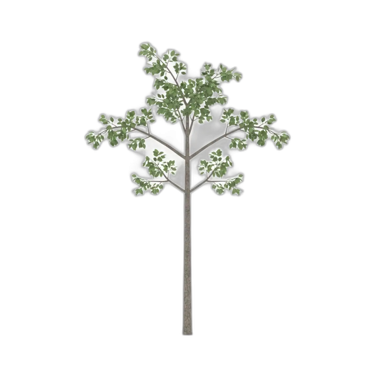 Free Download Cartoon Tree Png Transparent - High Quality Tree Png Transparent PNG